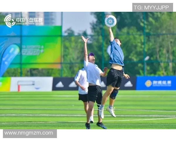 飞盘运动的魅力与坚持揭秘西安飞盘队的耐力与团结精神